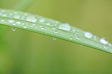 Steam秋冬季特卖时间确定 明年新推出春季特卖